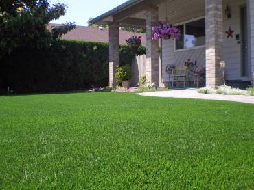 Artificial Grass Photos: Turf Grass Terre Hill, Pennsylvania Gardeners, Front Yard Landscaping Ideas