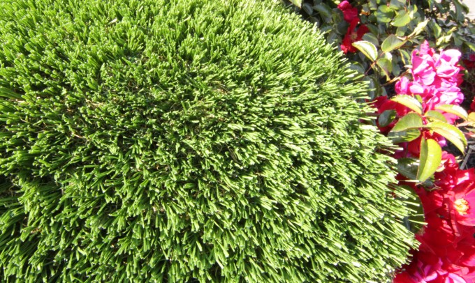 Hollow Blade-73 syntheticgrass Artificial Grass Philadelphia Pennsylvania