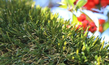 Artificial Turf Best Grass