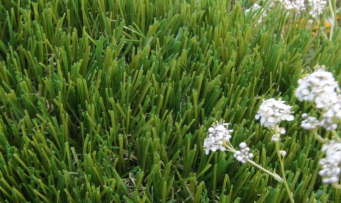 V Blade-64 syntheticgrass Artificial Grass Philadelphia Pennsylvania