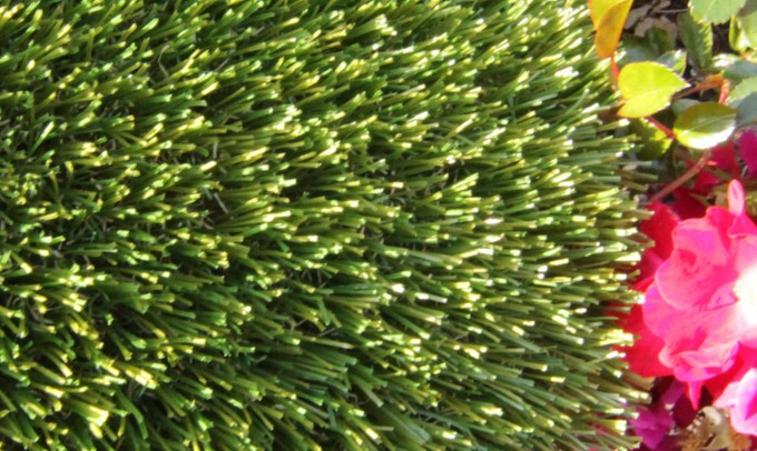 V Blade-77 syntheticgrass Artificial Grass Philadelphia Pennsylvania