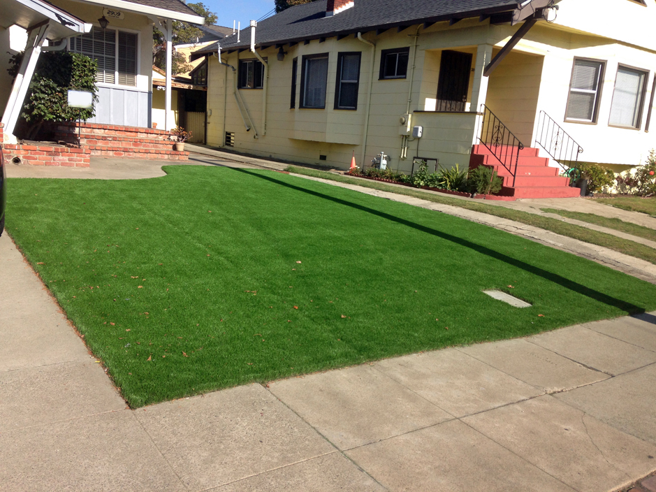 Plastic Grass Fairview-Ferndale, Pennsylvania Garden Ideas, Front Yard Landscape Ideas