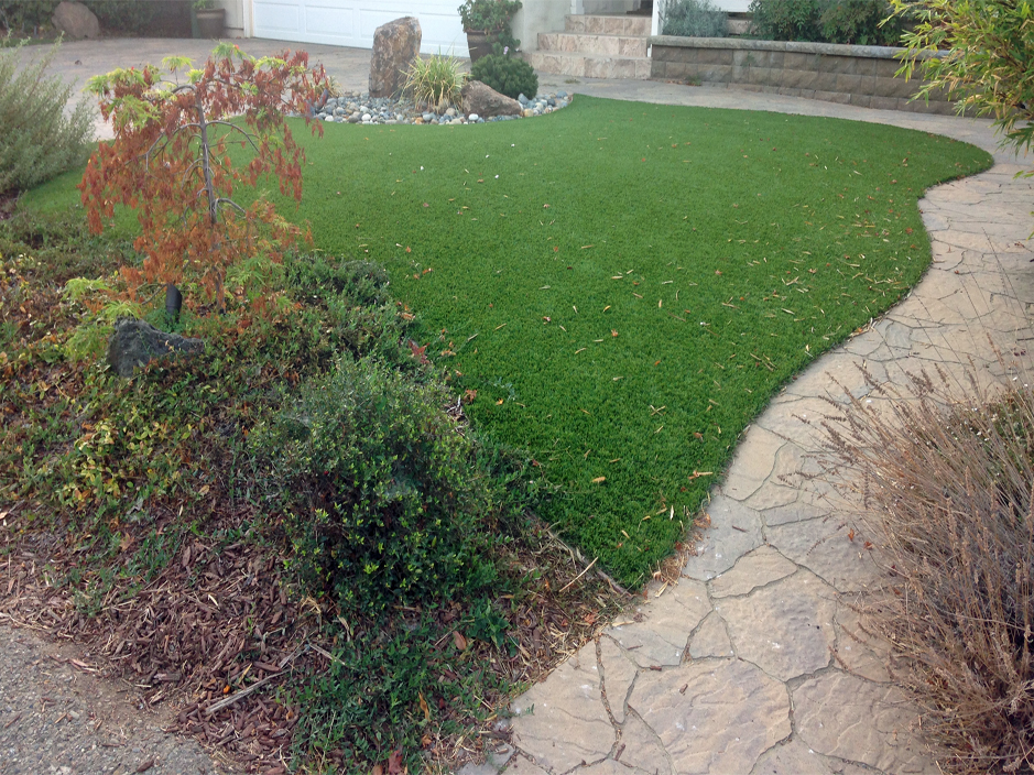 Plastic Grass Georgetown, Pennsylvania Drainage, Backyard Landscaping Ideas