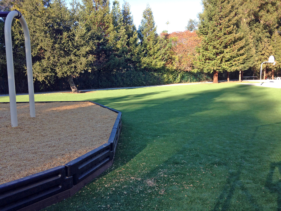 Synthetic Grass Conashaugh Lakes, Pennsylvania Roof Top, Parks