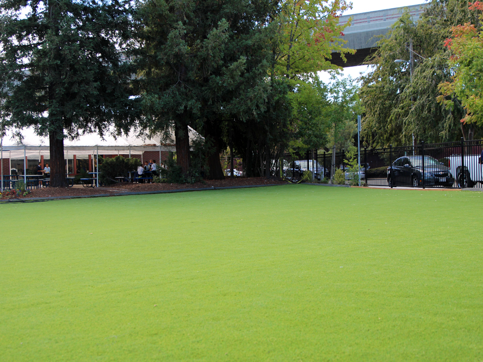 Synthetic Grass Cost Tamaqua, Pennsylvania Lawn And Garden, Commercial Landscape