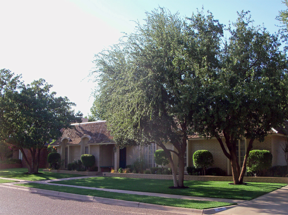 Synthetic Grass Flourtown, Pennsylvania Gardeners, Front Yard Landscaping Ideas