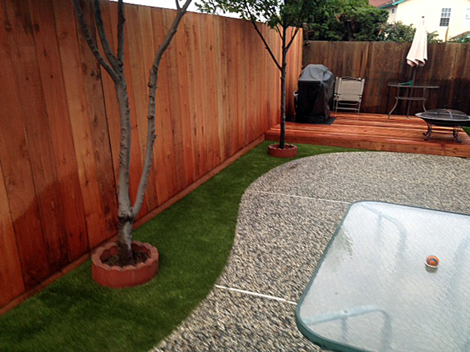 Synthetic Grass West Conshohocken, Pennsylvania Dog Grass, Small Backyard Ideas