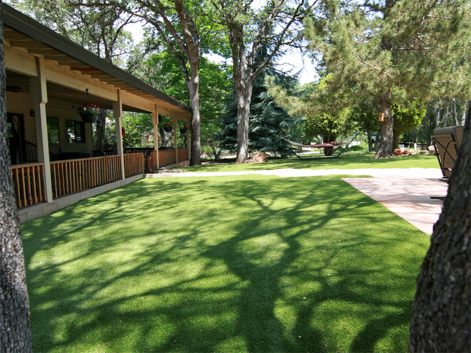 Synthetic Lawn Blandon, Pennsylvania Dog Parks, Small Backyard Ideas