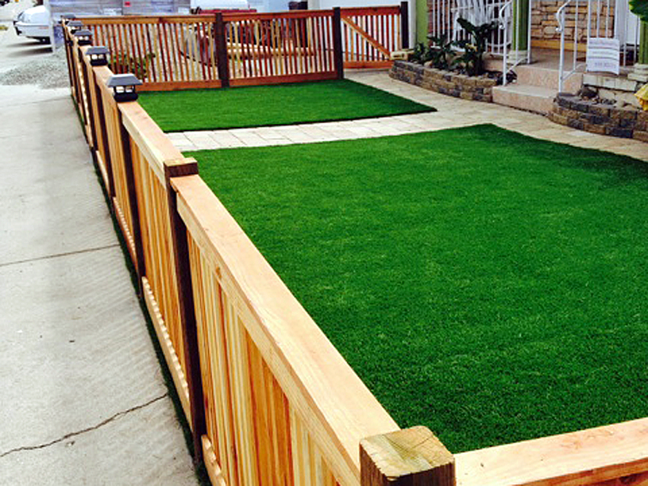 Synthetic Lawn New Ringgold, Pennsylvania Lawns, Front Yard Landscape Ideas