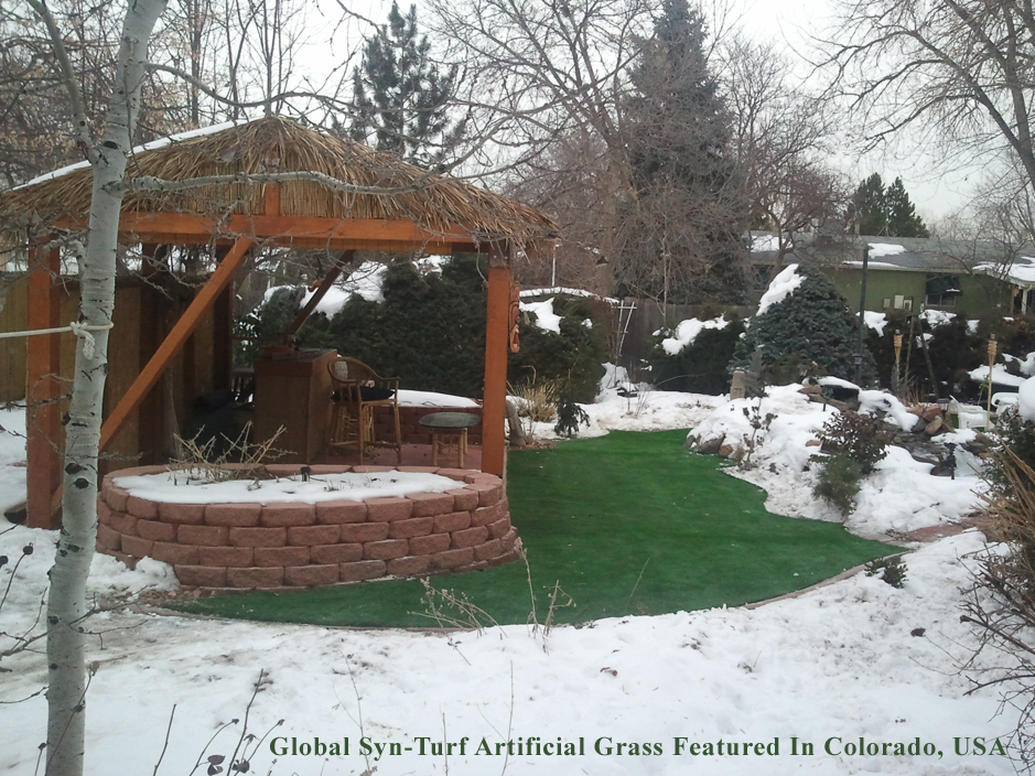 Synthetic Lawn Springfield, Pennsylvania Home And Garden, Backyards