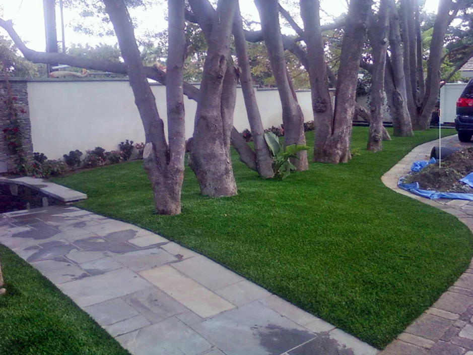 Synthetic Lawn Summit Station, Pennsylvania Home And Garden, Front Yard