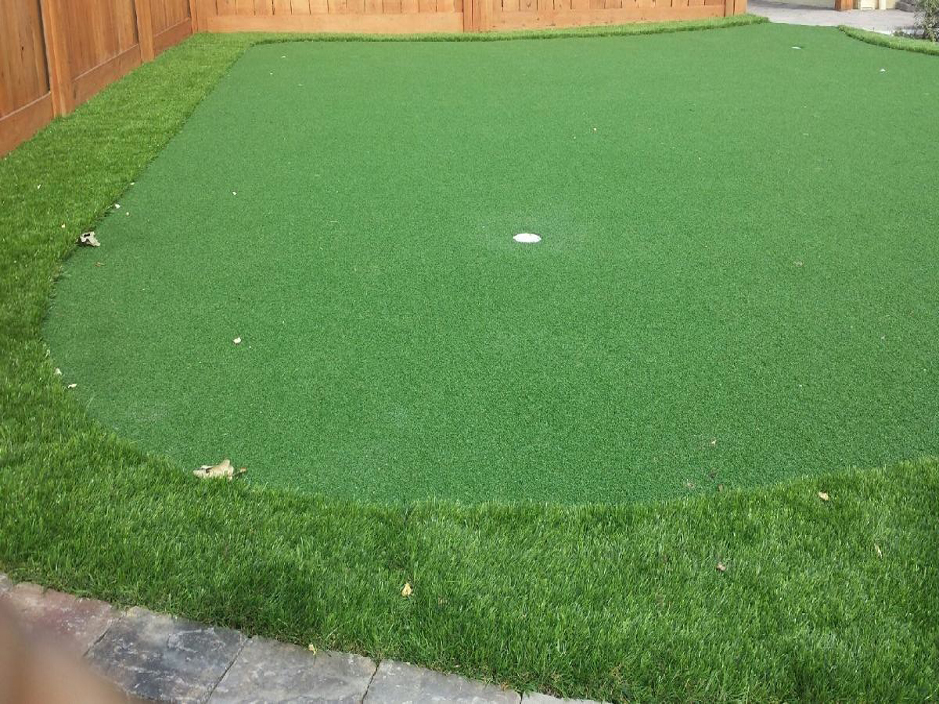 Synthetic Lawn Wanamie, Pennsylvania Home Putting Green