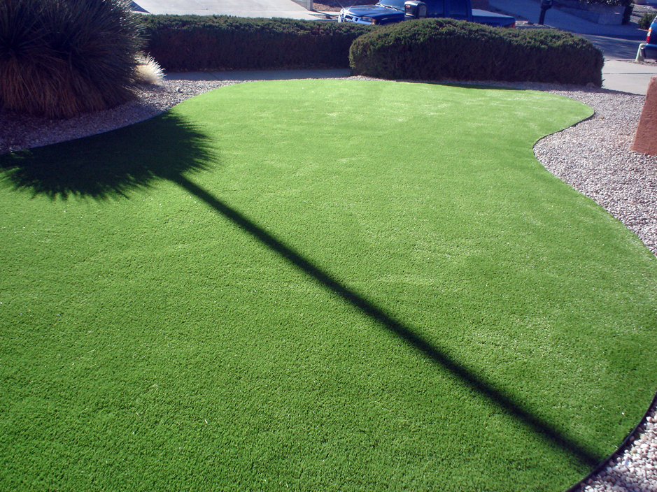 Synthetic Turf Alsace Manor, Pennsylvania Landscaping Business, Small Front Yard Landscaping