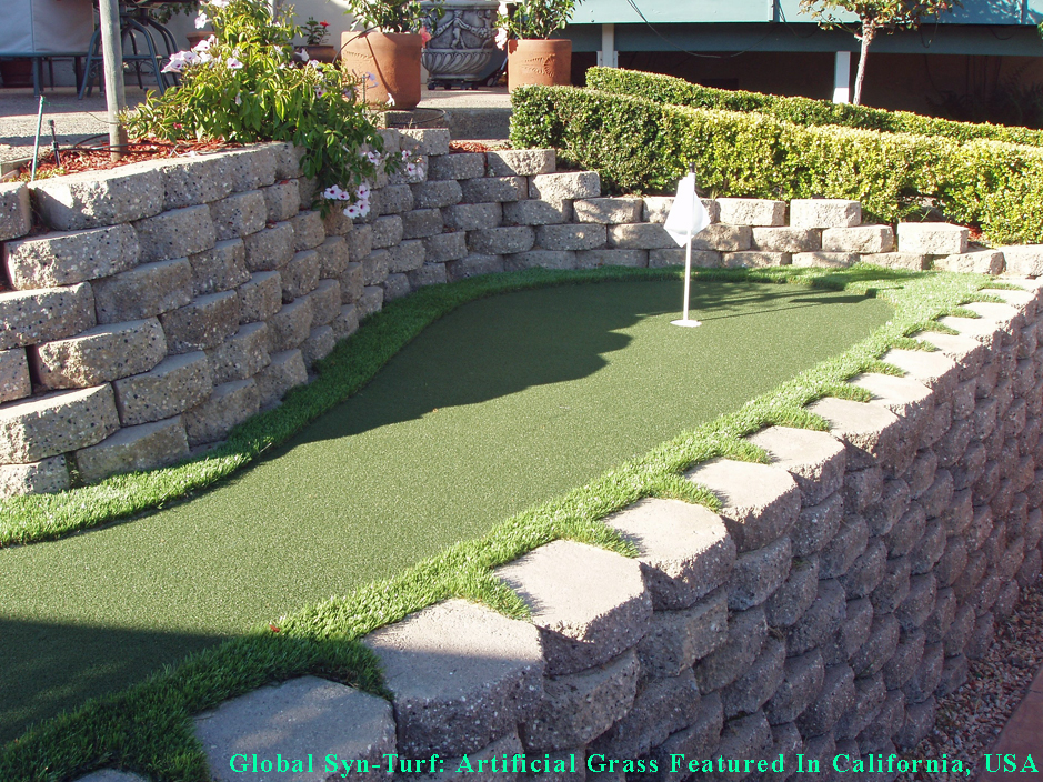 Synthetic Turf Bala Cynwyd, Pennsylvania Putting Green Carpet, Backyard Makeover