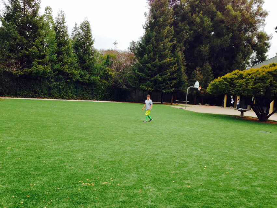 Synthetic Turf Bangor, Pennsylvania Athletic Playground, Recreational Areas