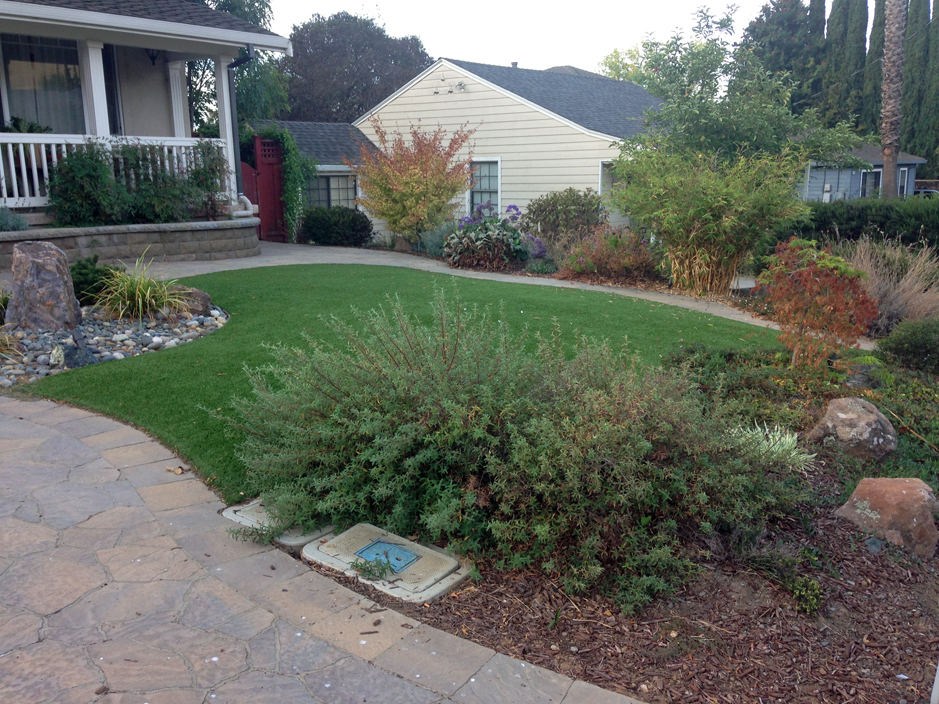 Synthetic Turf Nescopeck, Pennsylvania City Landscape, Front Yard Landscape Ideas