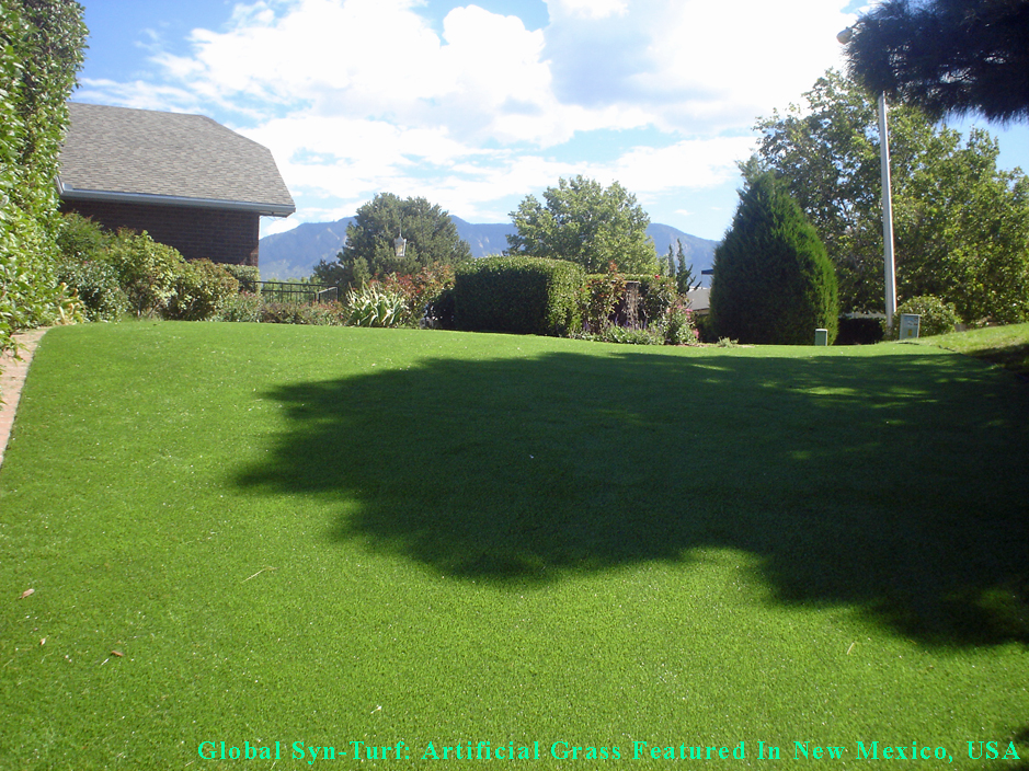 Synthetic Turf Supplier Colwyn, Pennsylvania Dog Pound, Backyard Landscaping Ideas