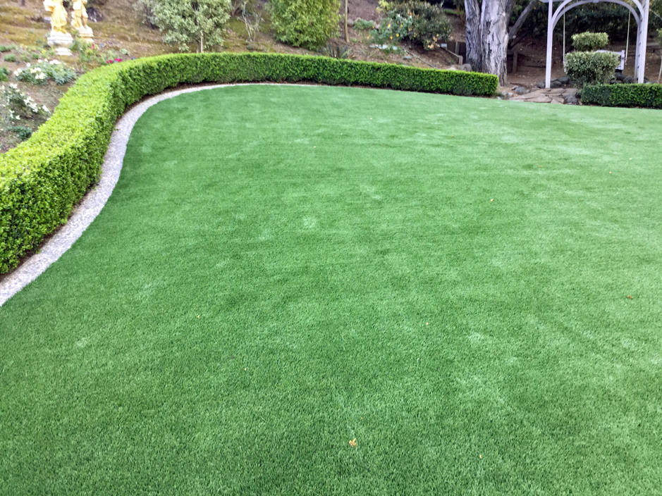Synthetic Turf Supplier Hulmeville, Pennsylvania City Landscape, Backyard