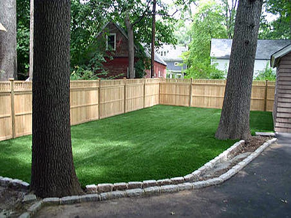 Synthetic Turf Supplier Newmanstown, Pennsylvania Landscape Photos, Backyards