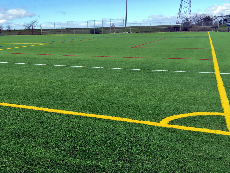 Synthetic Turf Wayne, Pennsylvania Stadium