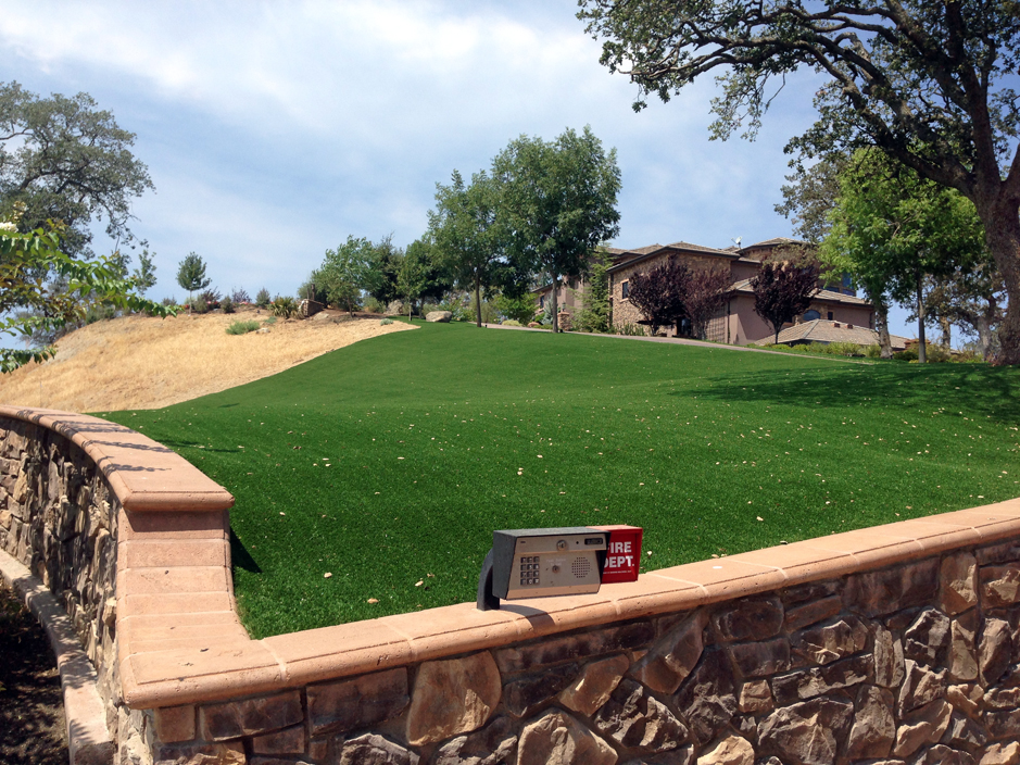 Synthetic Turf Weissport, Pennsylvania Landscape Photos, Front Yard Landscaping