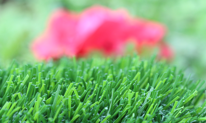 Artificial Grass Evergreen-80 Artificial Grass Philadelphia Pennsylvania