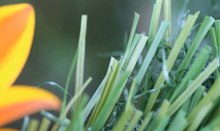 Artificial Grass S Blade-90 Green on Green Artificial Grass Philadelphia Pennsylvania