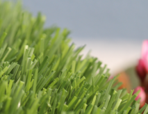 Synthetic Turf High Quality