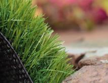 Turf Grass For Playgrounds