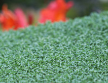 Artificial Putting Green