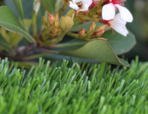 Synthetic Surface For Children