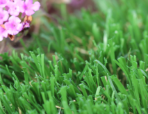 Multipurpose Artificial Grass