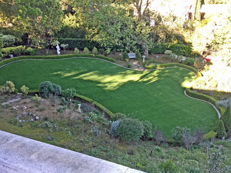 Turf Grass Richboro, Pennsylvania Pet Paradise, Backyards